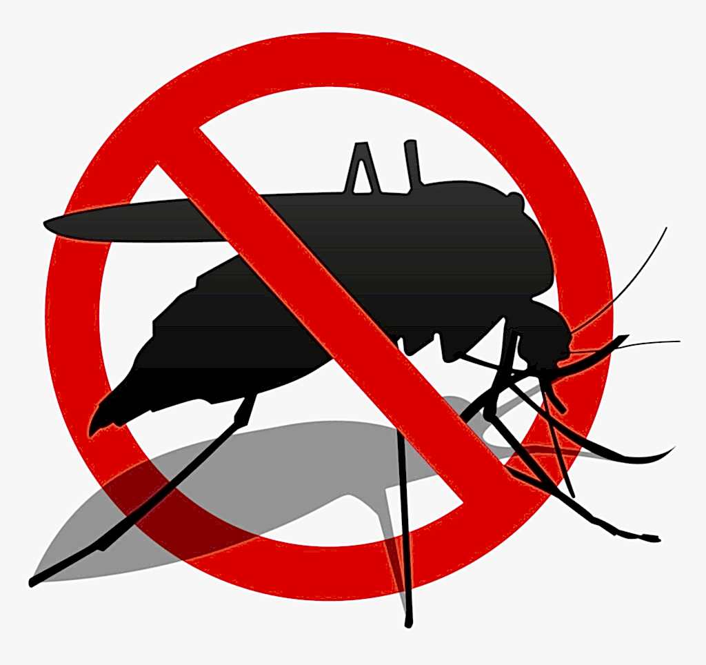 pest kontrol
