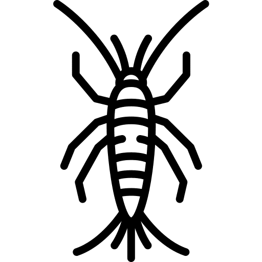 Gümüş Böceği İlaçlama