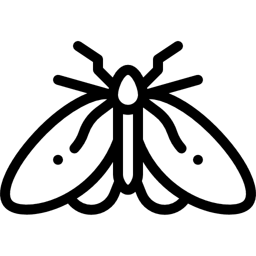 Güve