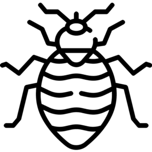 Tahta Kurusu İlaçlama