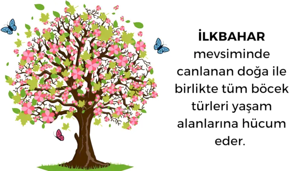 ilkbaharda böcek ilaçlama
