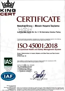 ISO 45001 Occupational Health and Safety Management System