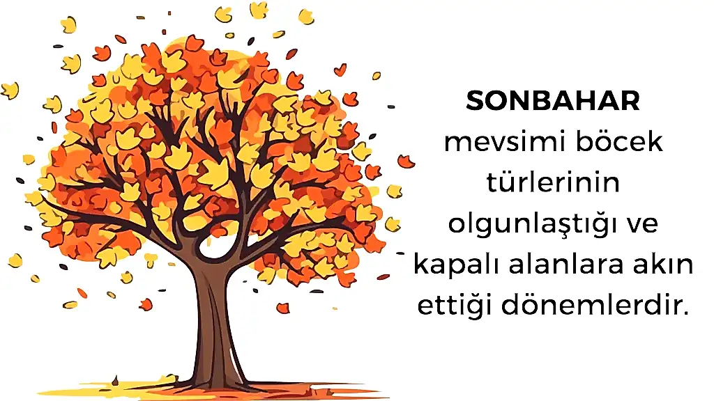 sonbaharda böcek ilaçlama