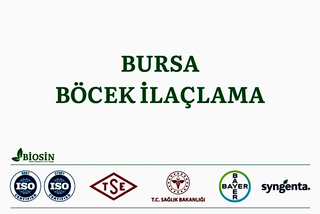 Bursa böcek ilaçlama firması