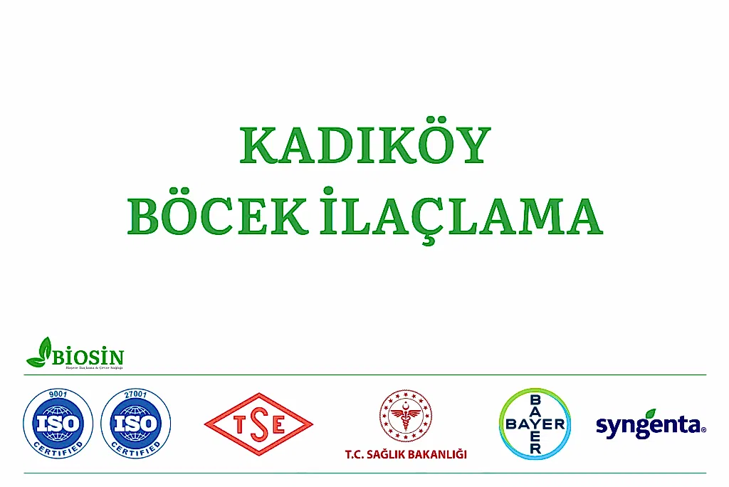 Kadıköy Böcek İlaçlama